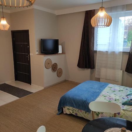 Appartement Redkot 40A à Zielona Góra Extérieur photo
